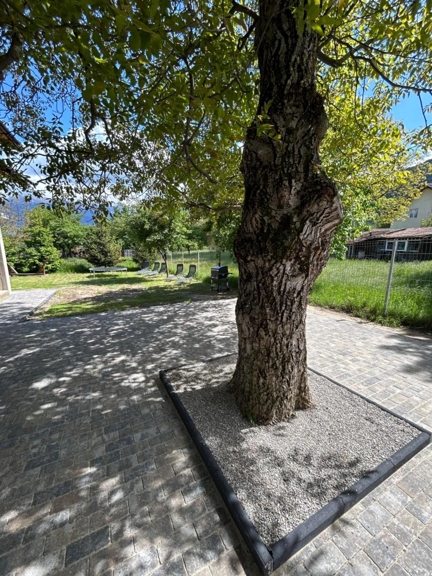 Casa Luca Ama Bran Villa Bran  Exteriör bild