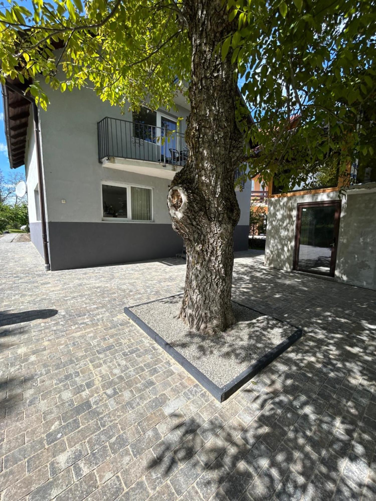 Casa Luca Ama Bran Villa Bran  Exteriör bild