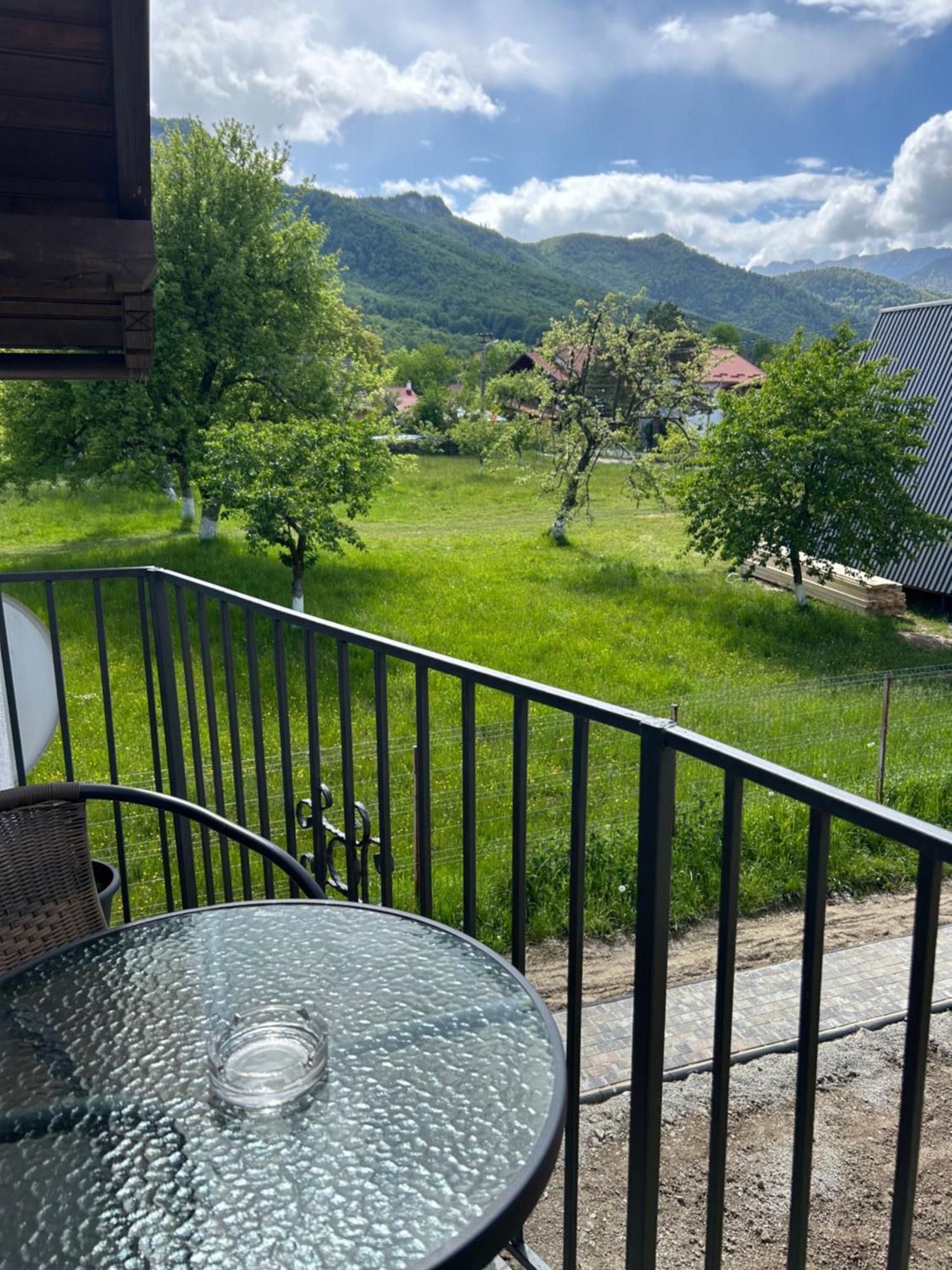 Casa Luca Ama Bran Villa Bran  Exteriör bild